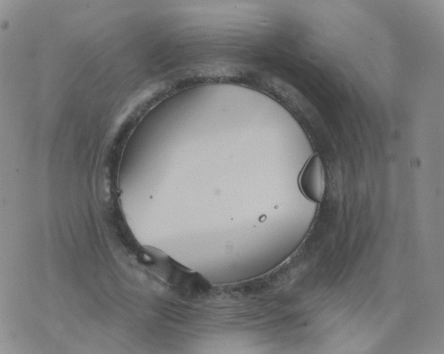 X0000076060731200610152202