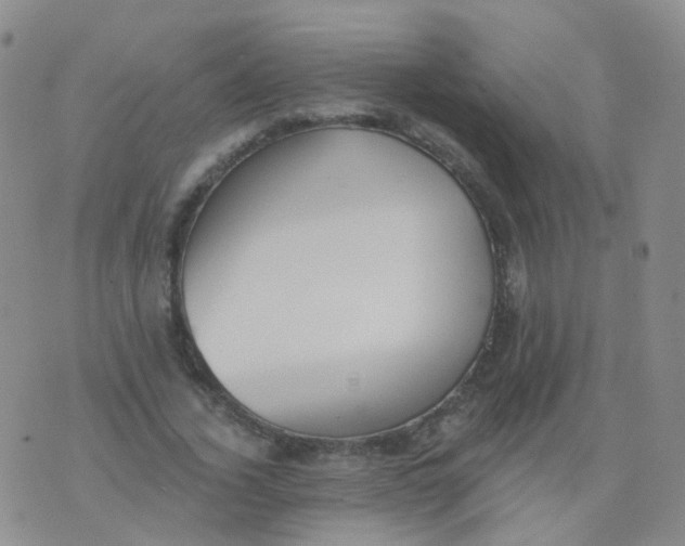 X0000076060732200610152202