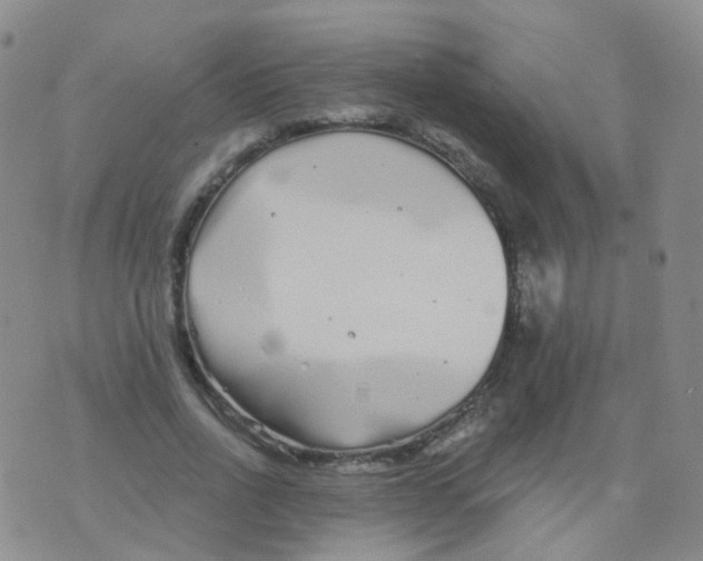 X0000076060734200610152202