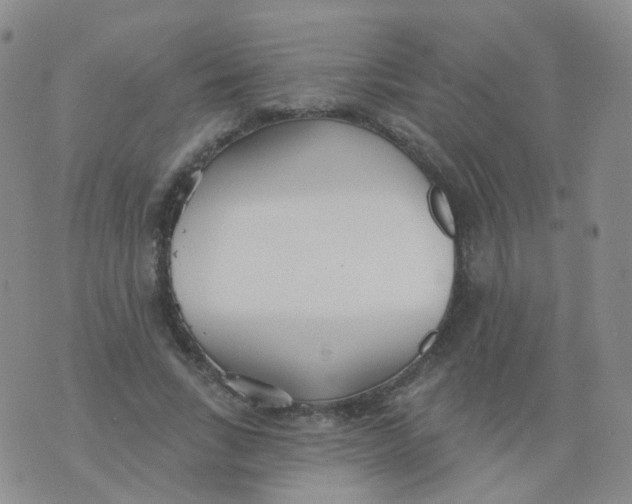 X0000076060735200610152202