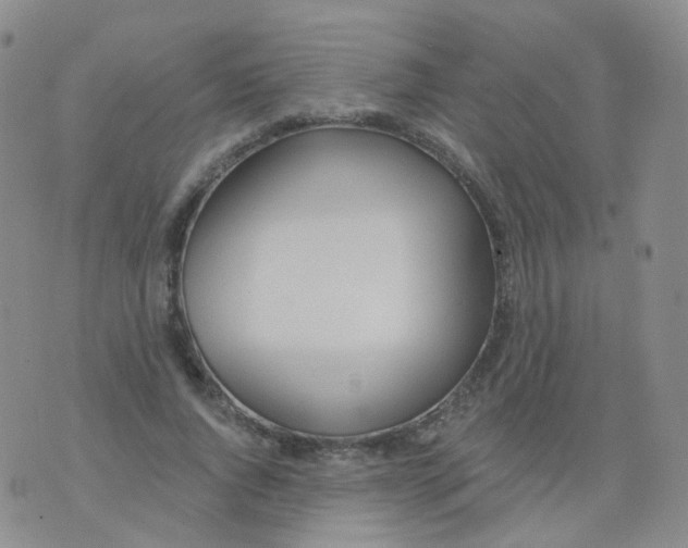 X0000076060736200610152202