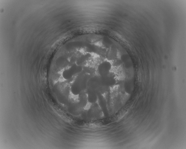 X0000076060737200610152202