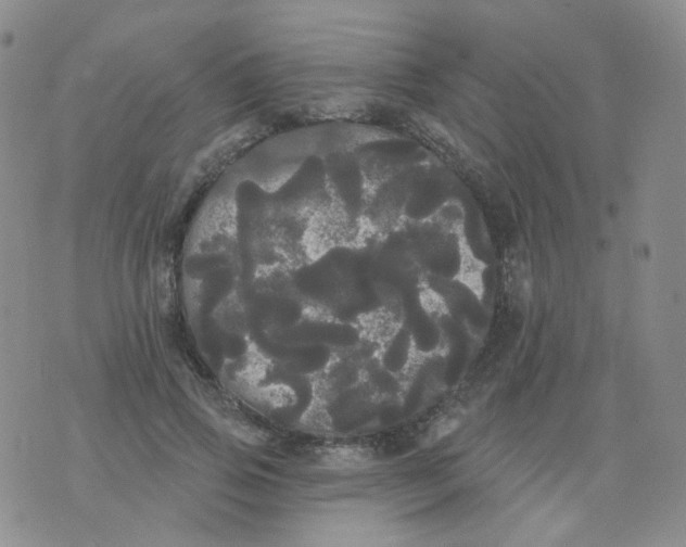 X0000076060741200610152202