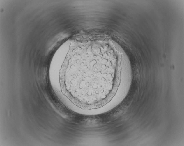 X0000076060742200610152202