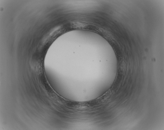 X0000076060743200610152202