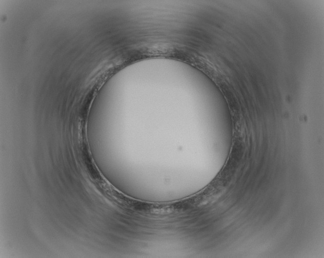 X0000076060744200610152202