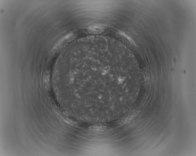 X0000076060745200610152202