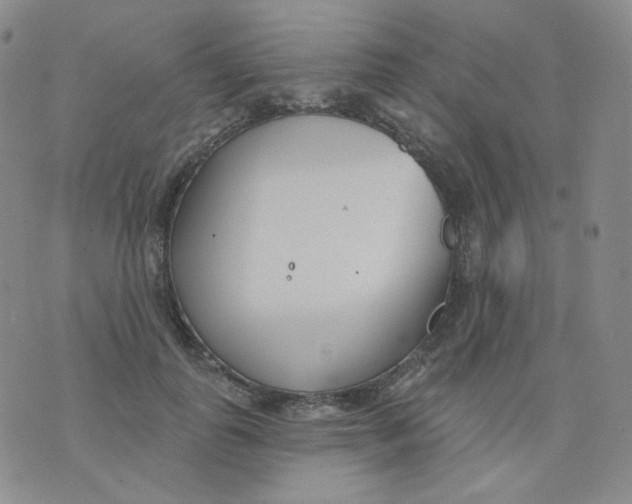 X0000076060747200610152202