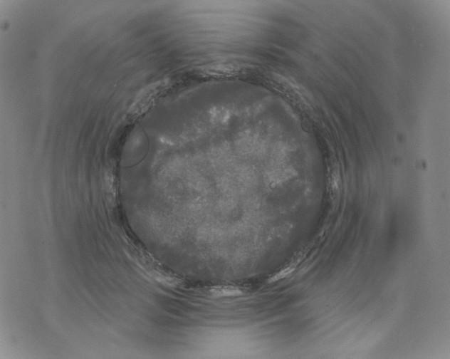 X0000076060749200610152202