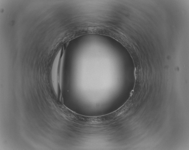 X0000076060750200610152202