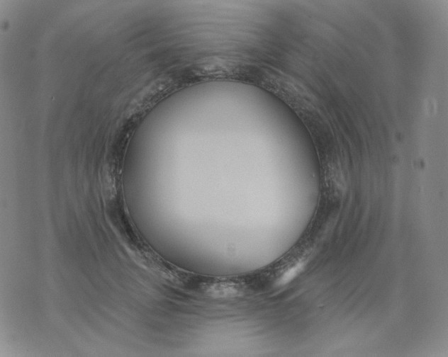 X0000076060751200610152202