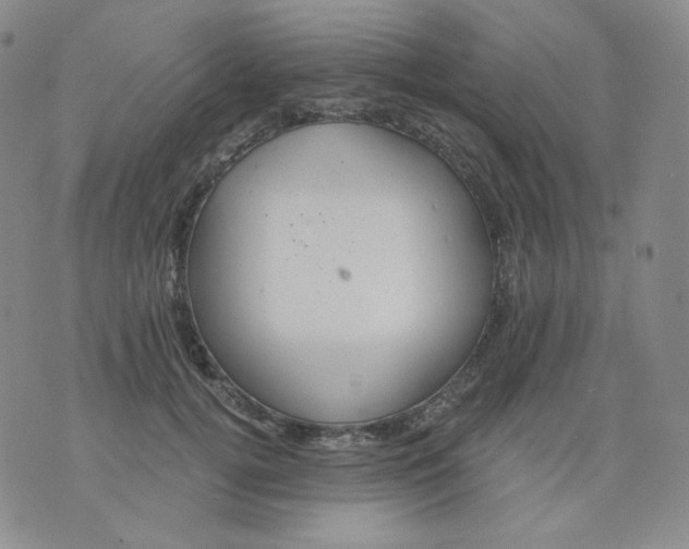 X0000076060752200610152202