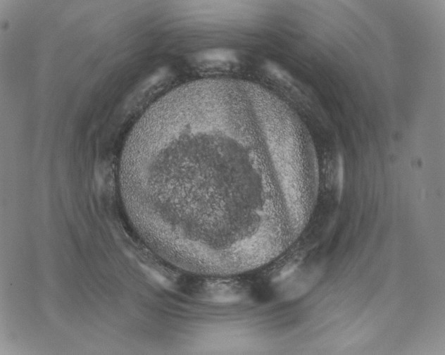 X0000076060753200610152202