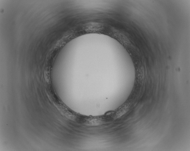 X0000076060755200610152202