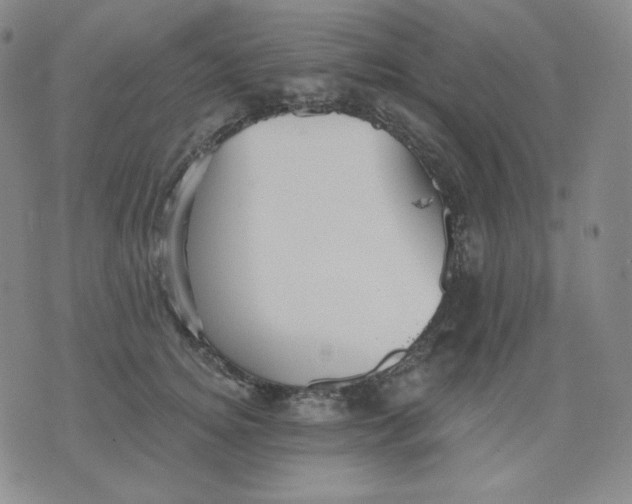 X0000076060756200610152202