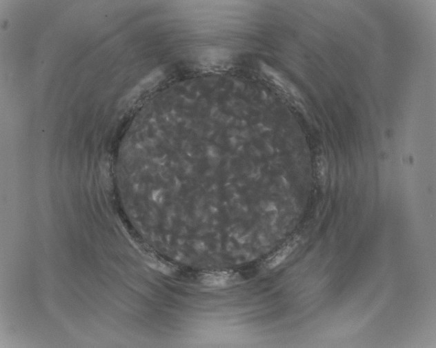 X0000076060757200610152202