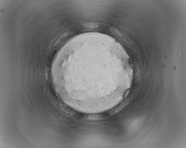 X0000076060758200610152202