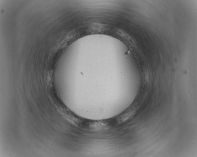 X0000076060759200610152202