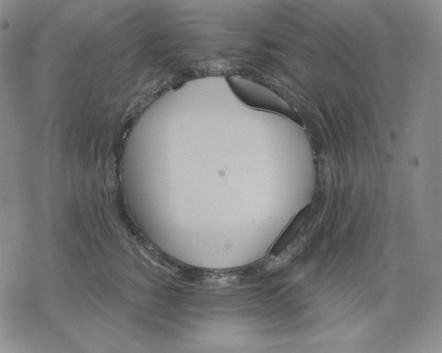 X0000076060760200610152202