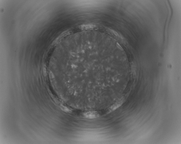 X0000076060761200610152202