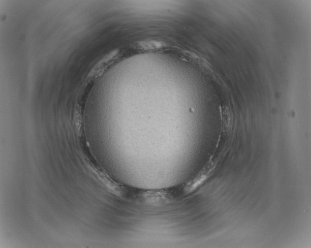 X0000076060762200610152202