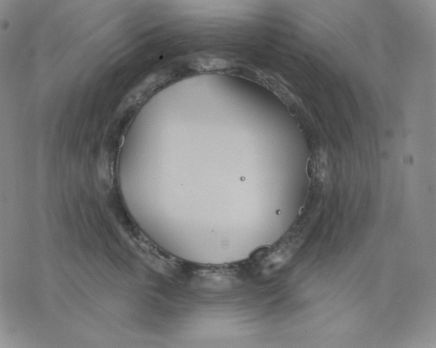 X0000076060763200610152202