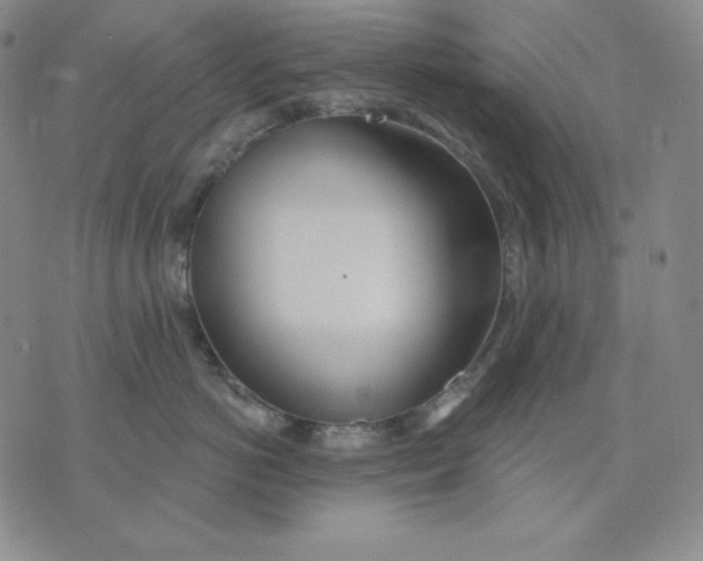 X0000076060766200610152202