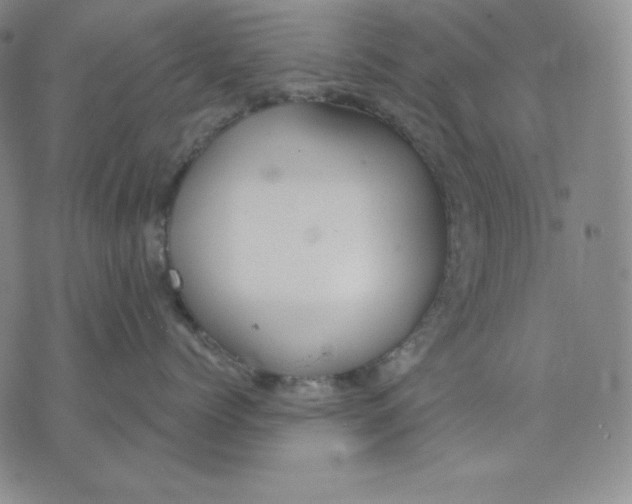 X0000076060768200610152202