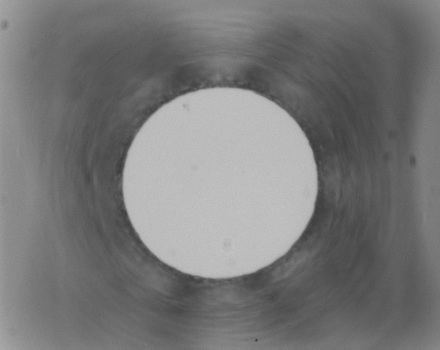 X0000076060769200610152201