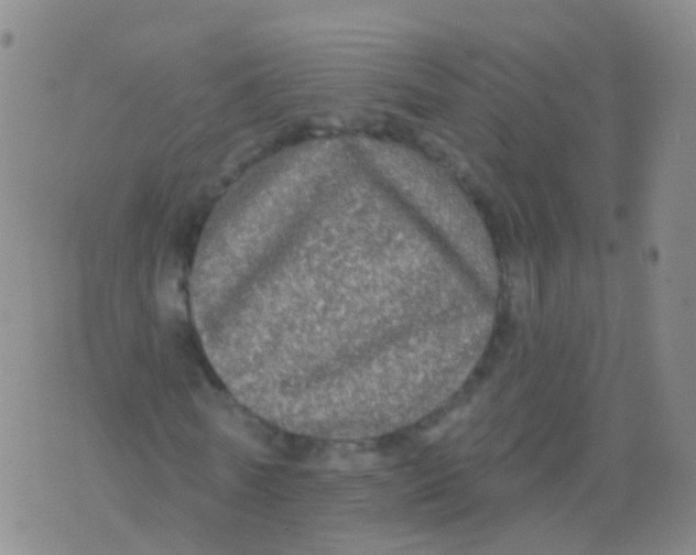 X0000076060770200610152201