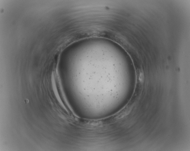 X0000076060771200610152201