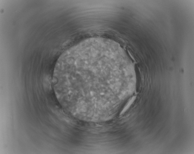 X0000076060772200610152201