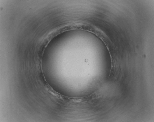 X0000076060773200610152201