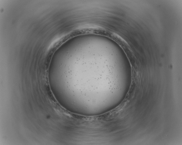 X0000076060775200610152201