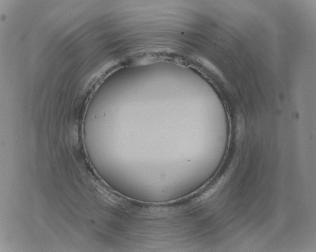 X0000076060777200610152201