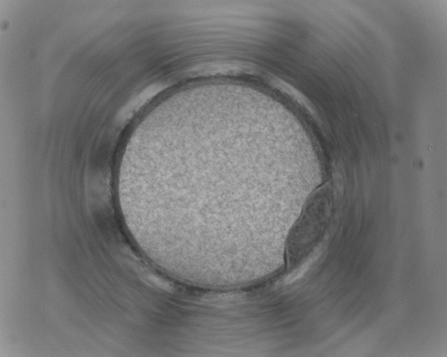 X0000076060778200610152201