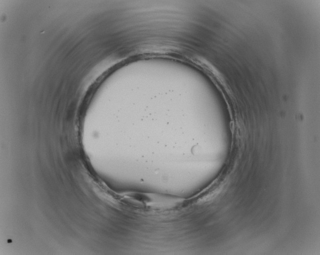 X0000076060779200610152201