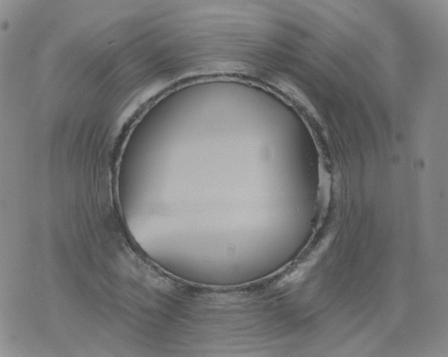 X0000076060781200610152201