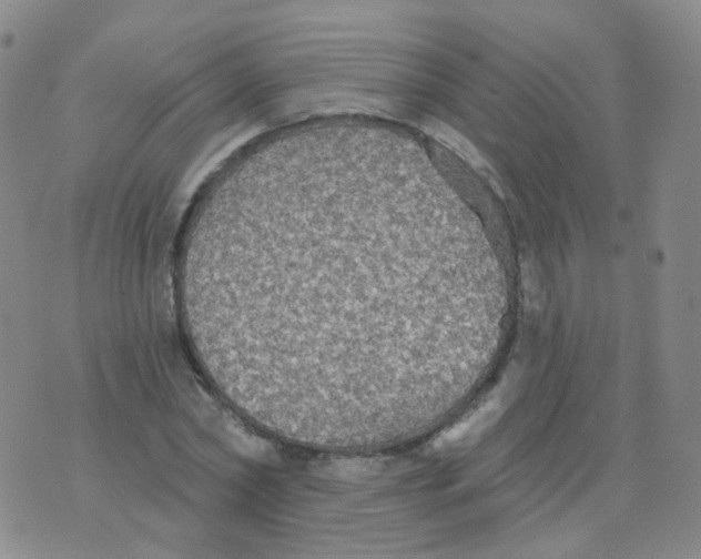 X0000076060782200610152201