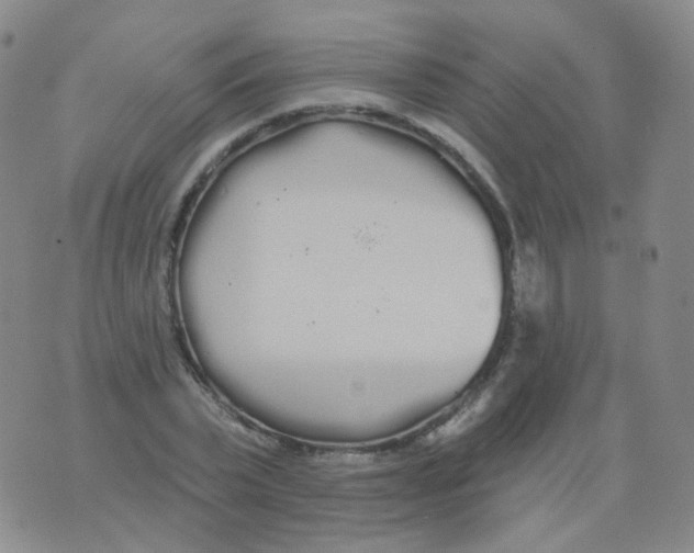 X0000076060783200610152201