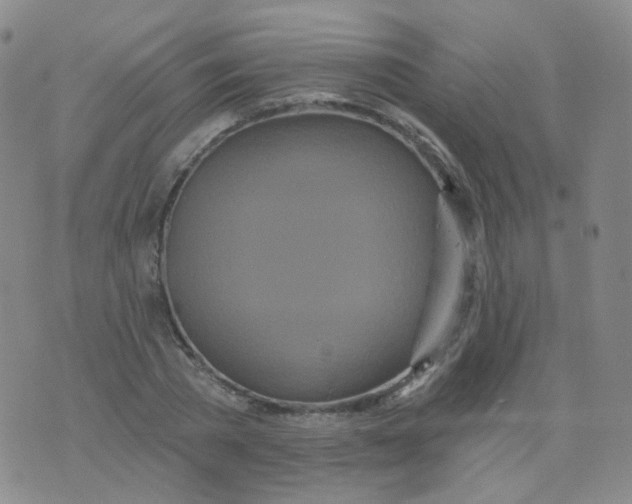 X0000076060785200610152201