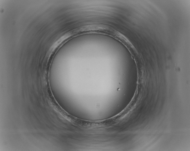 X0000076060786200610152201