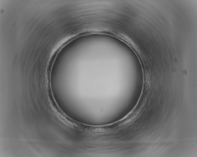 X0000076060787200610152201