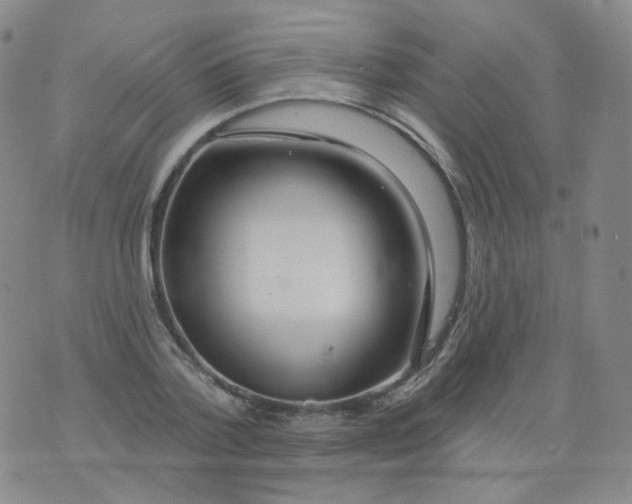 X0000076060788200610152201