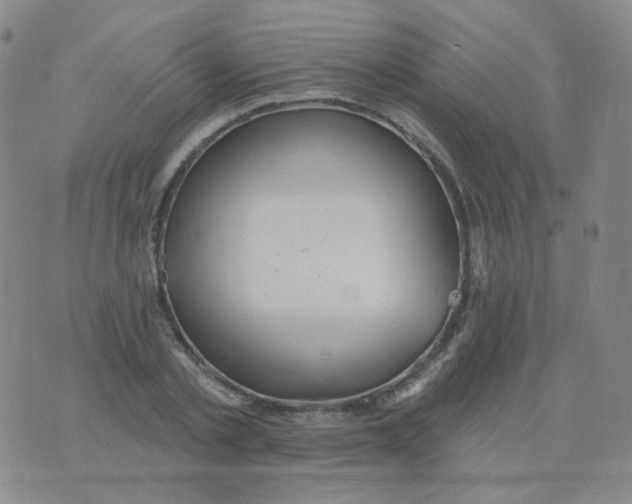 X0000076060789200610152201