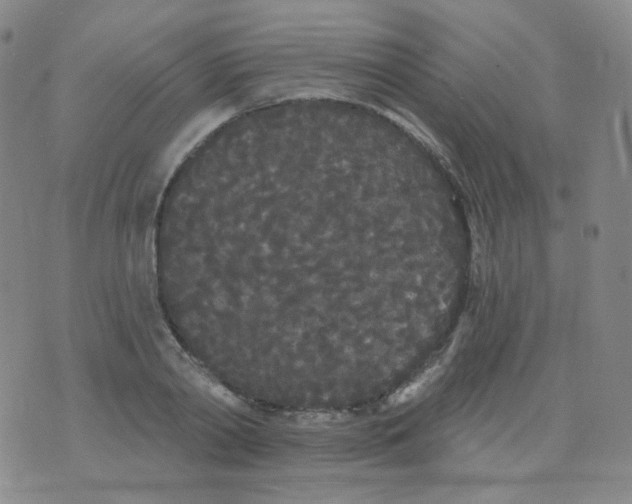 X0000076060790200610152201