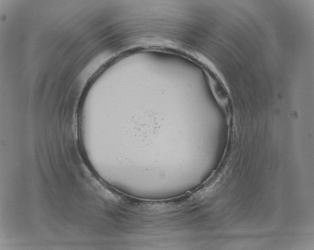 X0000076060791200610152201