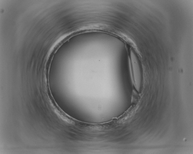 X0000076060792200610152201