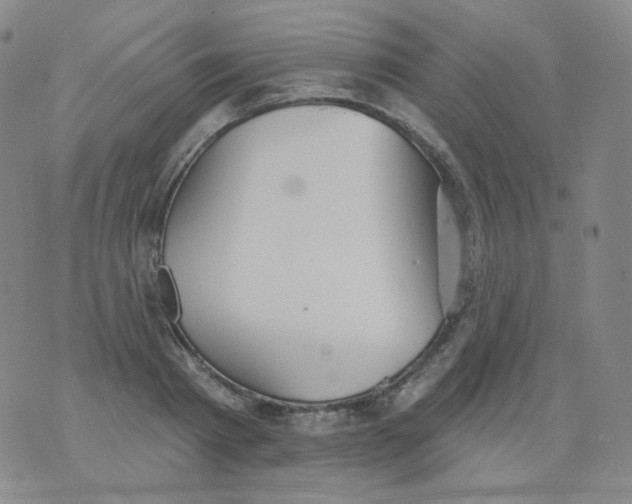 X0000076060793200610152201