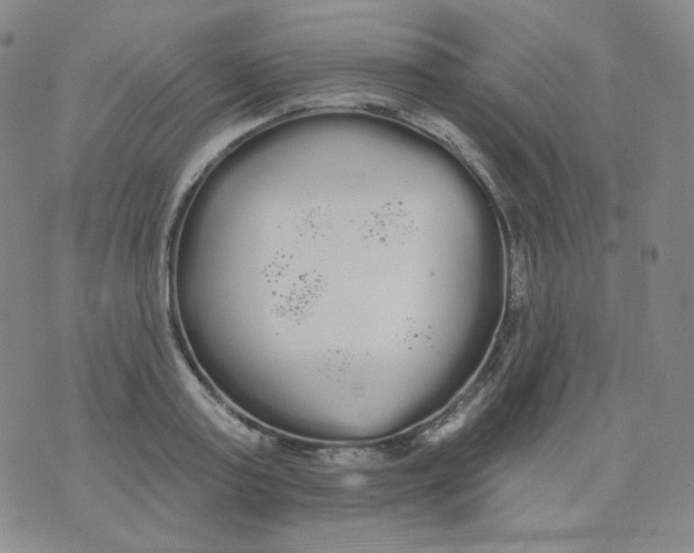 X0000076060795200610152201